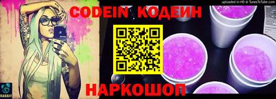индика Можга