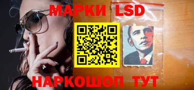 индика Можга