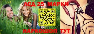 индика Можга