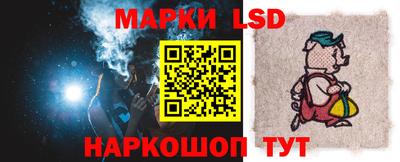 индика Можга