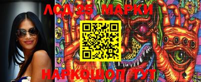 индика Можга