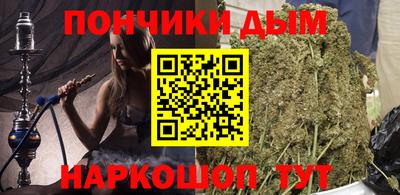 индика Можга