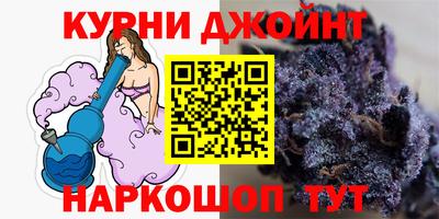 индика Можга