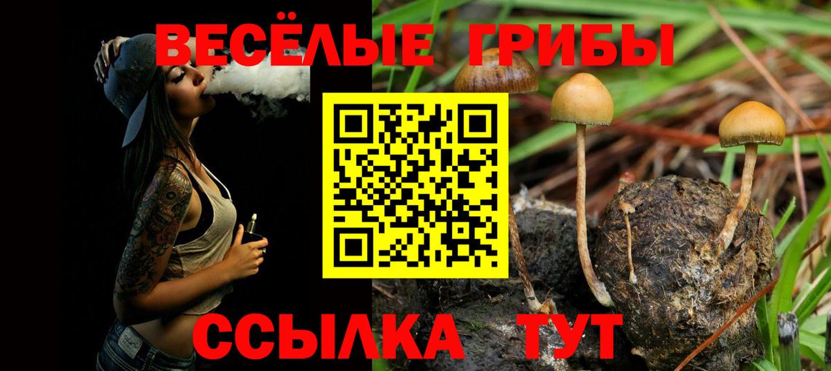 Арзамас  Галлюциногенные грибы мухоморы  Вход с VPN 