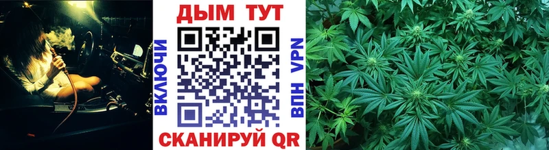 где продают   Арзамас  Каннабис гибрид 